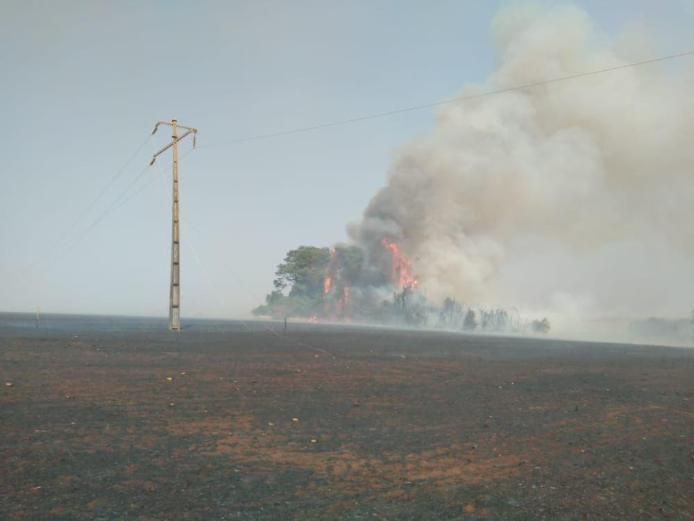 Equatorial Goiás alerta para aumento no risco de queimadas nas próximas horas