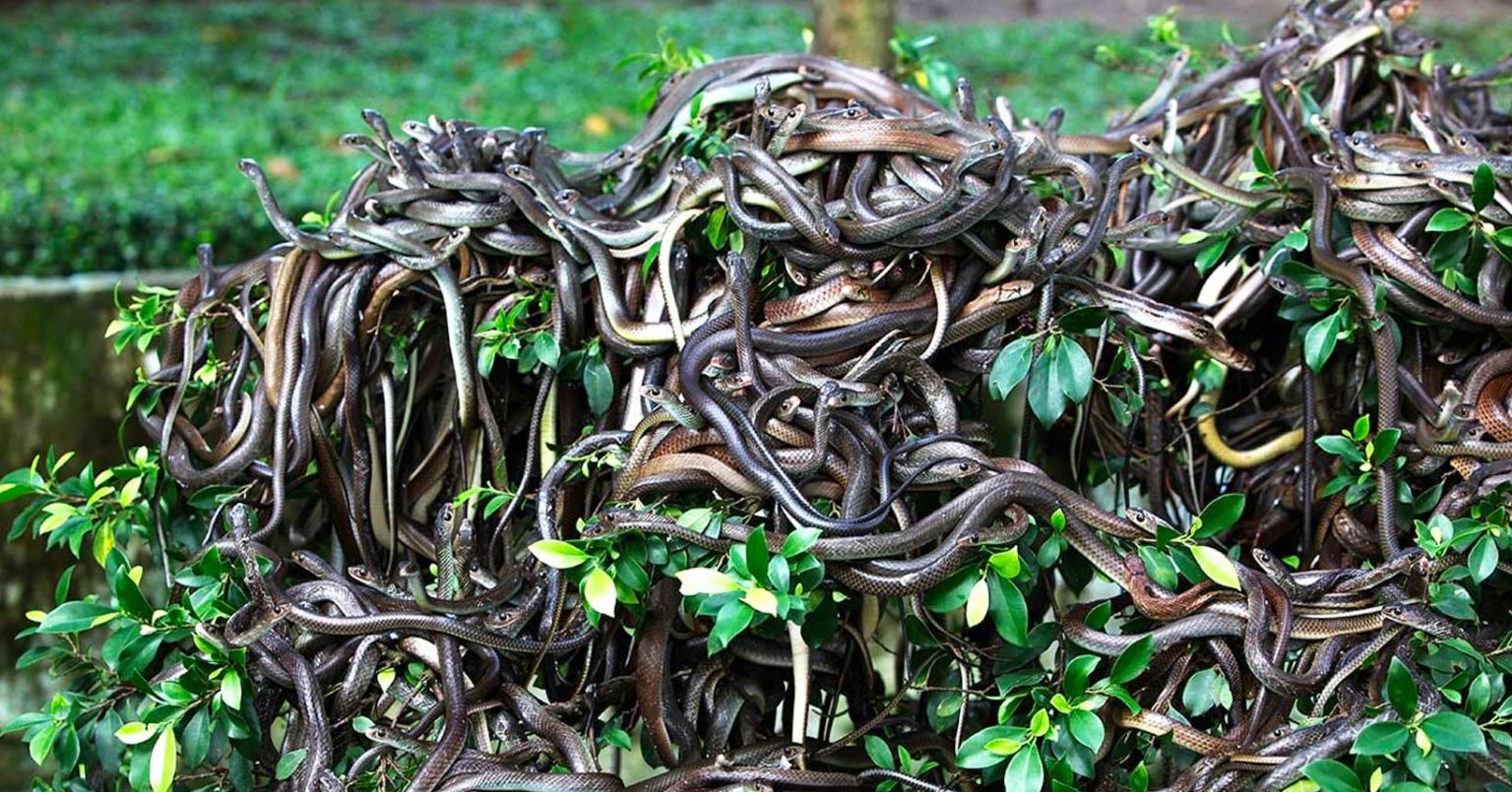 Ninguém pode entrar nesses lugares proibidos! Conhece o brasileiro?